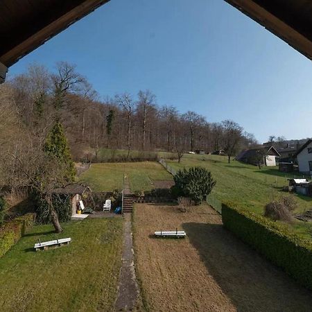 Ferienwohnung Am Waldrand Bad Driburg Bagian luar foto